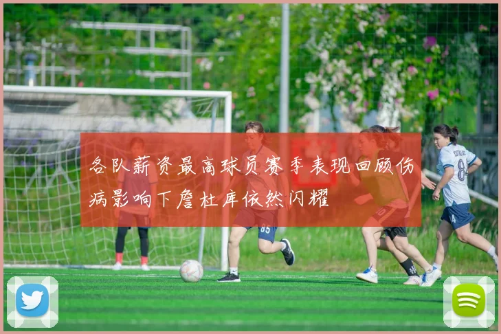 各队薪资最高球员赛季表现回顾伤病影响下詹杜库依然闪耀